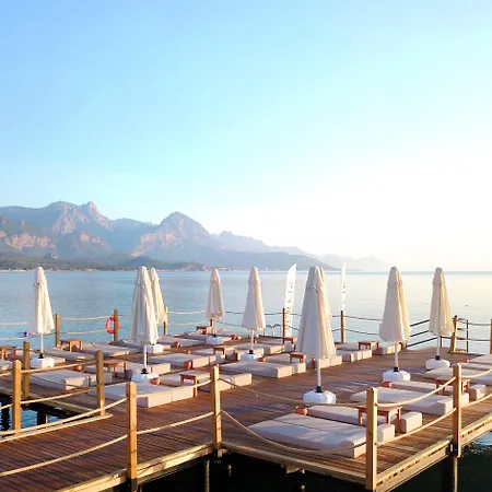 Queen'S Park Turkiz Kemer-2