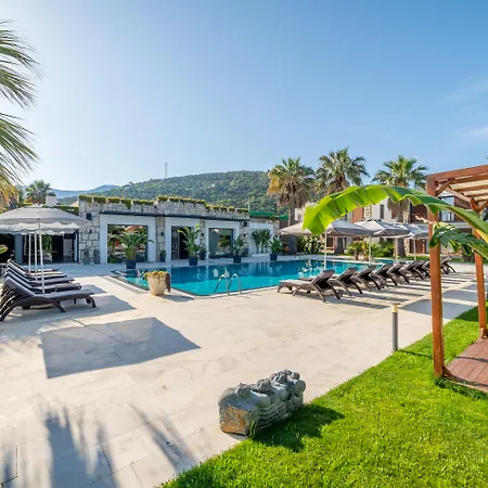 Moyo Luxury Hotel & Beach-2