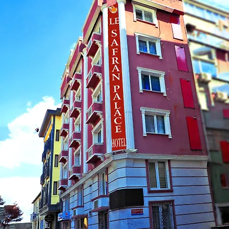 Le Safran Palace-2