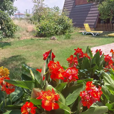 Miss Mandarin Bungalow Evleri-2