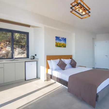 Sayindi Girift Boutique Otel-2