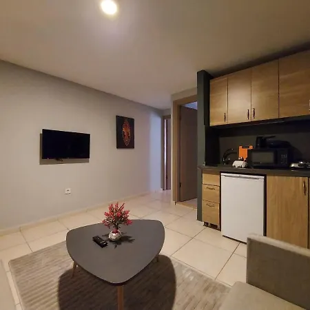 Rozetta Suite-3