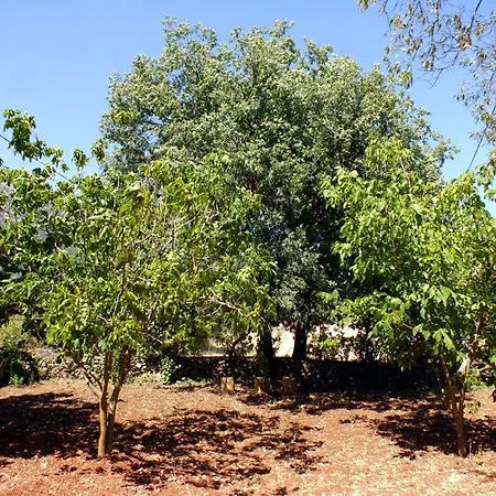 GÜLŞEN APART -Doğa Manzaralı Daire-3