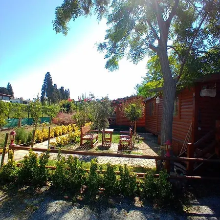 Defnewoodhome-3