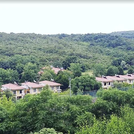 Doga Tatil Koeyue-3