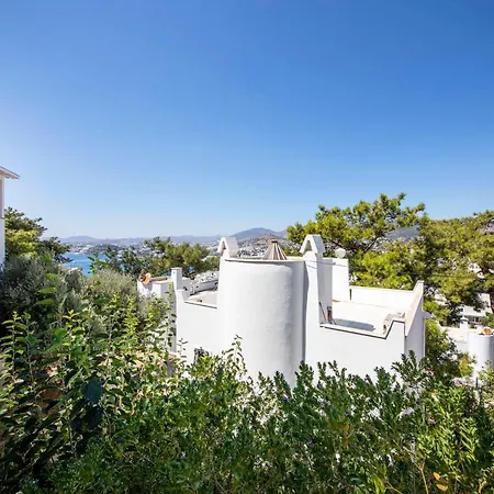 Enchanting House With Backyard In Bodrum-3