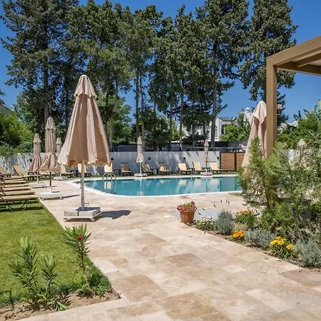 Olive Tree Hotel-3