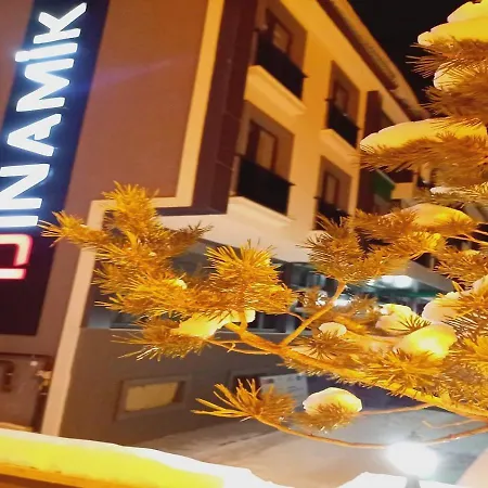 Dinamik Otel Sarıkamış-2