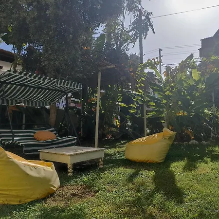 Limon Hotel-3