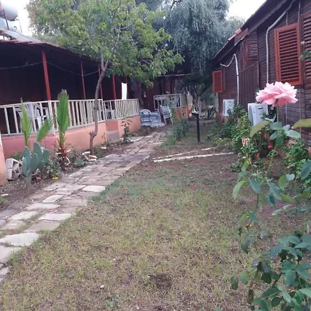 Oll Garden-3
