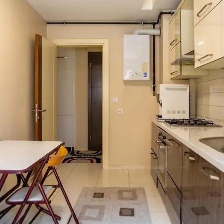 Pleasant And Central Flat With Balcony In Izmir-3
