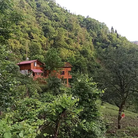 Avıtte Dağ Evlerı-2