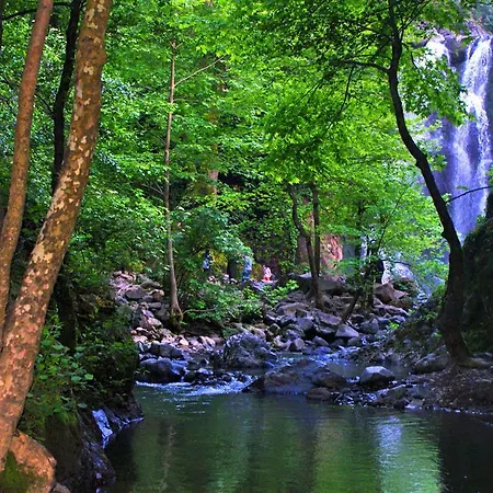 Green Thermal Hotel-3