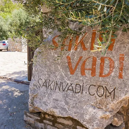 Sakin Vadi Villas-2