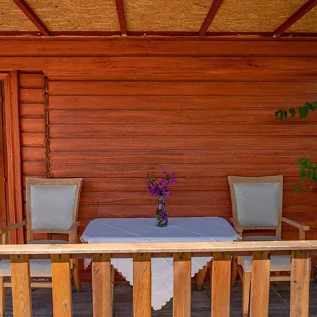 Felicity Hotel & Bungalows-2