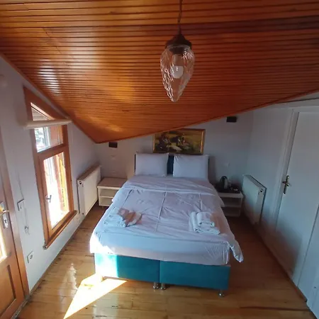 Buyukada Cinar Hotel (Adults Only)-3