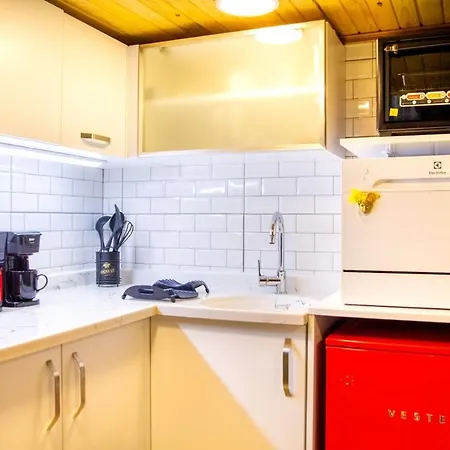 Central And Colorful Studio Flat In Alsancak-2