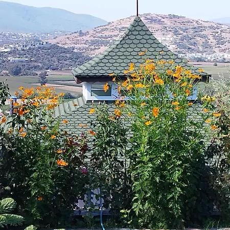 Olive Garden Retreat-3