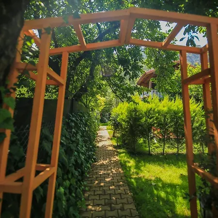 Villa Zeytin-2