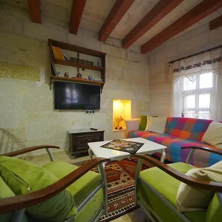 Asya'S Stone House Villa-2