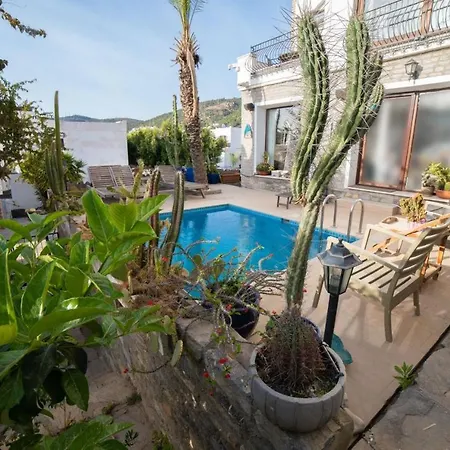 Villa With Private Pool And Lovely View In Bodrum-3