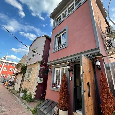 Cozy Detached House Near The Hagia Sophia-3