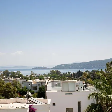 Luxury Villa In Tuerkbuekue Bodrum Turkey Close To Maca Kizi-3