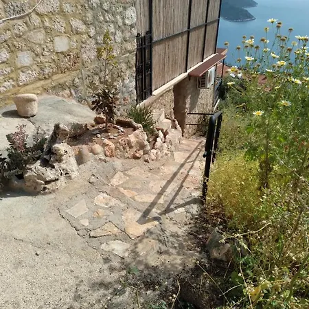 Eagle Nest-3
