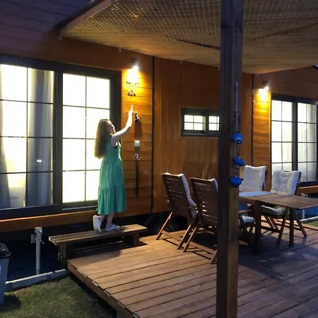 Lemon Tiny House-2