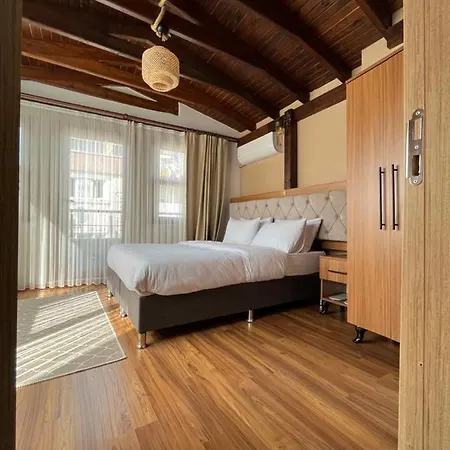 Palmera Art House-3