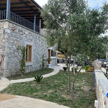 7011 Dadya Rooms-2