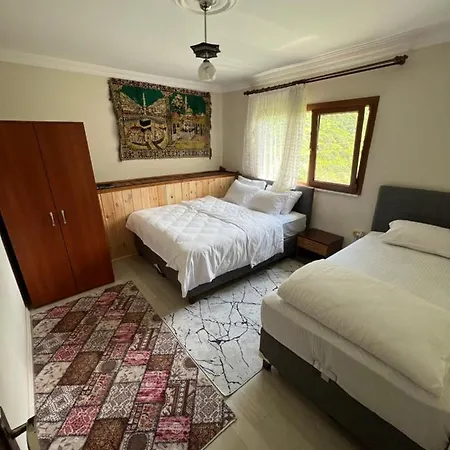 Yesil Doga Tatil Apart-2