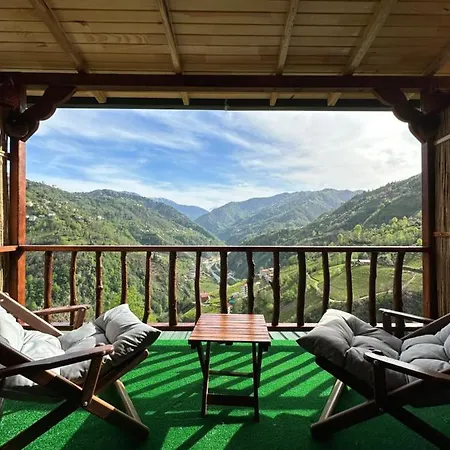 Zifona Bungalov-2