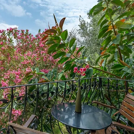 Rosy Suites Hotel-3
