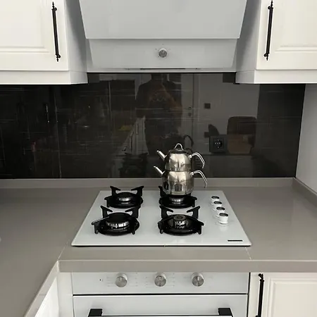 Silver House-2