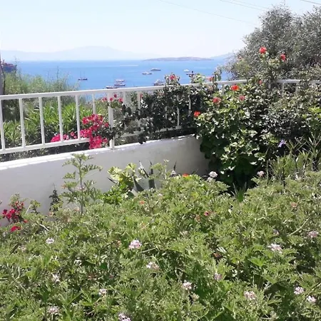 Mert Homes-2