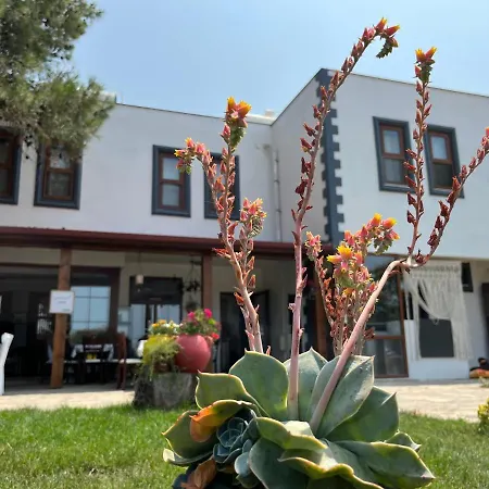 Vayu Hotel&Tiny Houses-2