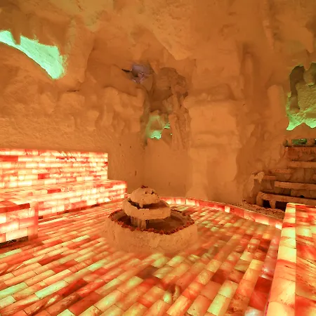 Hotel Celik Palas Convention Center & Thermal Spa-2