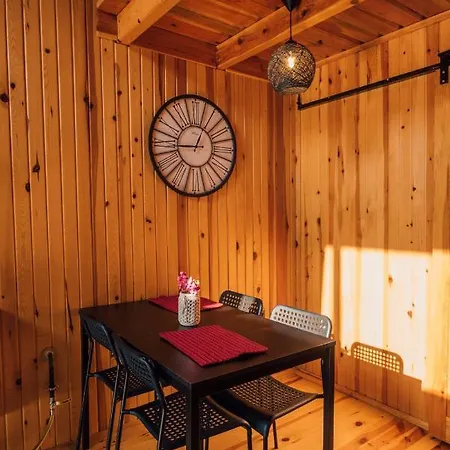 Sapanca Kuruçeşme Tiny House-3