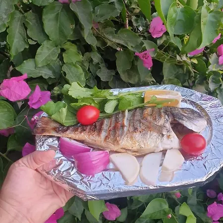 Ilkim Otel-2