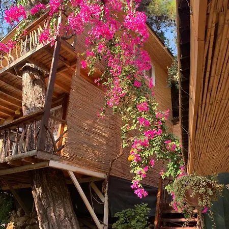 Large Bungalow With Sea View In Kabak Bay, Oeluedeniz-3