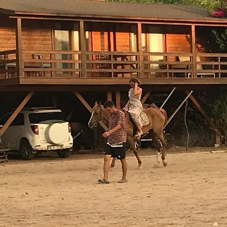 Equestrian And Beach Club-3