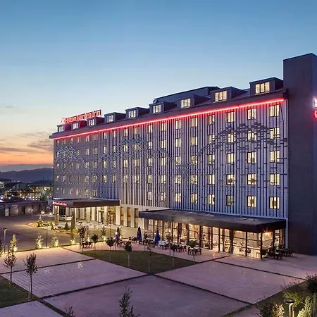Hilton Garden Inn Erzurum-3