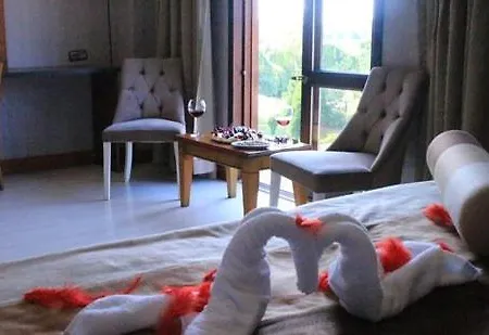 Green Mount Hotel-2