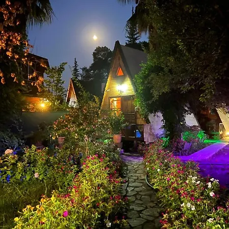 Oran Ağaç Bungalovs-2