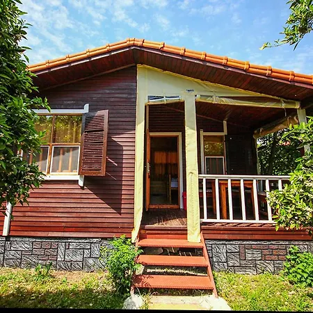 Three Islands Bungalow-2