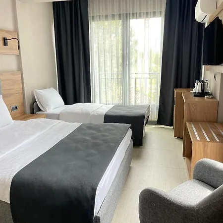 Palmon Hotel-2