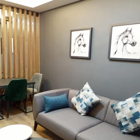 Dinamik Otel Sarıkamış-3