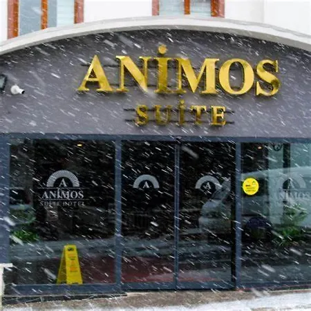 Animos Butik Otel-2