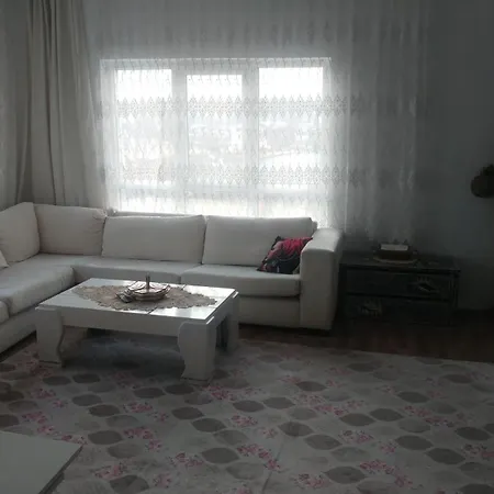 Enesin Evi-3
